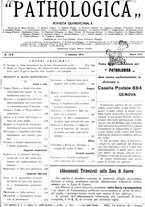 giornale/CFI0361052/1916/unico/00000405