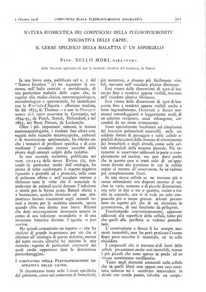 Pathologica rivista quindicinale