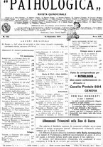 giornale/CFI0361052/1916/unico/00000473