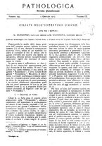 giornale/CFI0361052/1917/unico/00000007