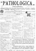 giornale/CFI0361052/1917/unico/00000197