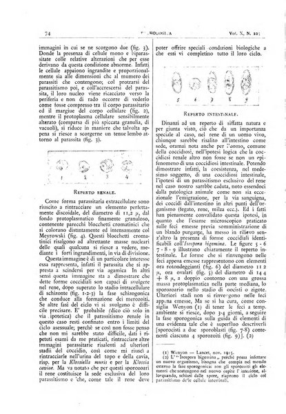 Pathologica rivista quindicinale