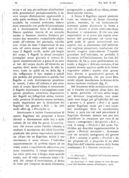 Pathologica rivista quindicinale