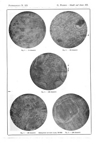 Pathologica rivista quindicinale