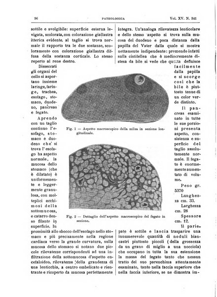 Pathologica rivista quindicinale