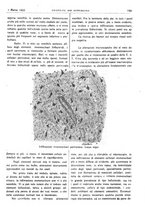 giornale/CFI0361052/1923/unico/00000241