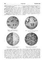 giornale/CFI0361052/1923/unico/00000284