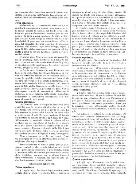 Pathologica rivista quindicinale