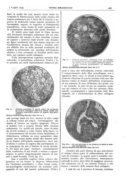 Pathologica rivista quindicinale