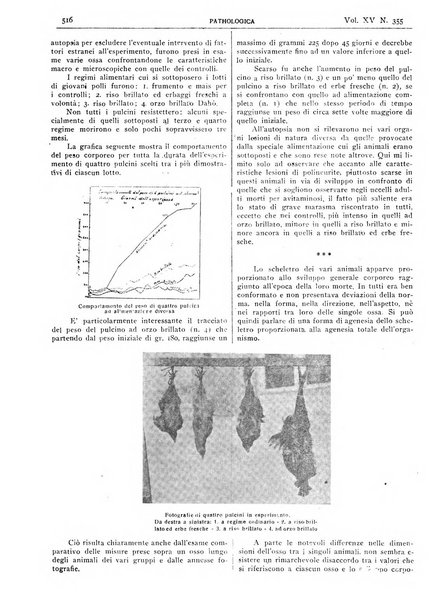 Pathologica rivista quindicinale