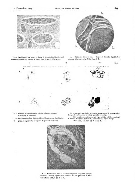 Pathologica rivista quindicinale