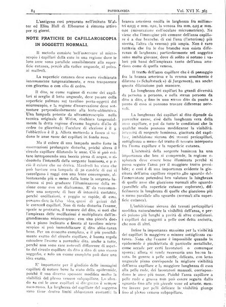 Pathologica rivista quindicinale