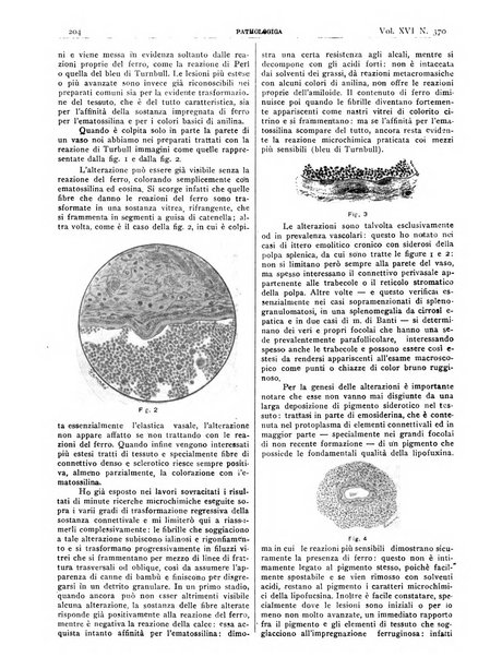 Pathologica rivista quindicinale