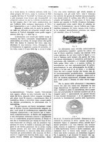 giornale/CFI0361052/1924/unico/00000302