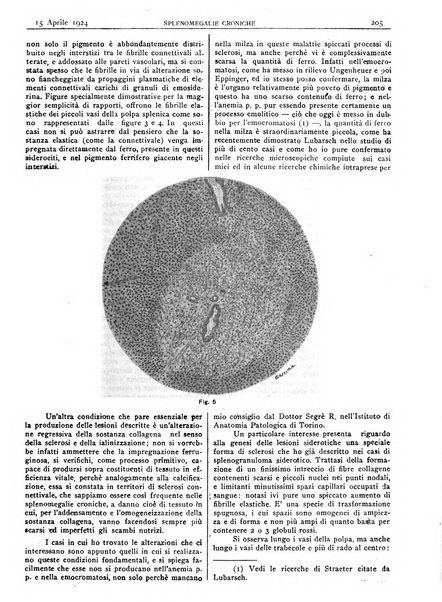 Pathologica rivista quindicinale