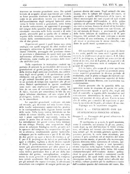 Pathologica rivista quindicinale