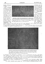 giornale/CFI0361052/1924/unico/00000522