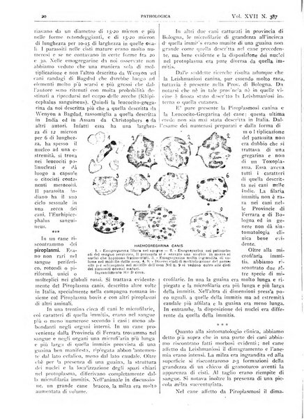 Pathologica rivista quindicinale