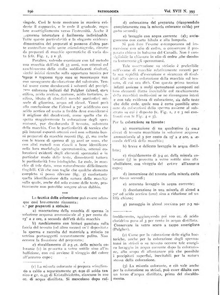 Pathologica rivista quindicinale