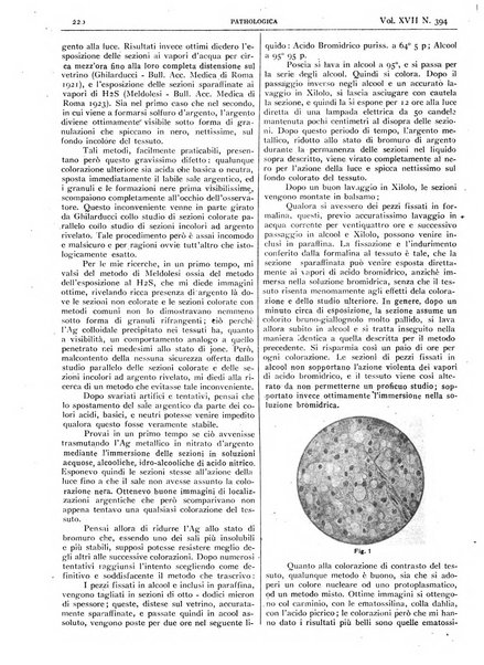 Pathologica rivista quindicinale