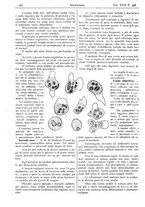 giornale/CFI0361052/1925/unico/00000382