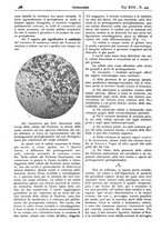 giornale/CFI0361052/1925/unico/00000630