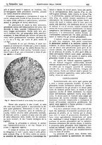 giornale/CFI0361052/1925/unico/00000635