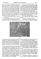 giornale/CFI0361052/1925/unico/00000809