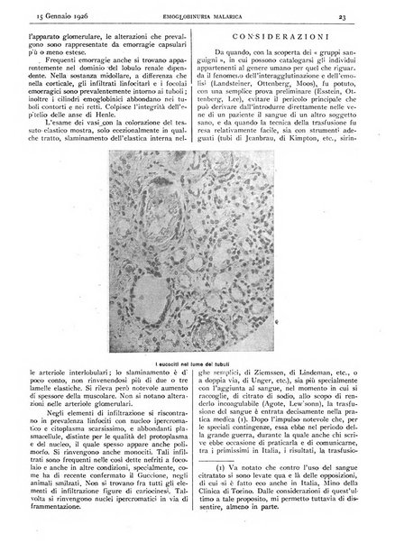 Pathologica rivista quindicinale