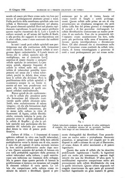 Pathologica rivista quindicinale