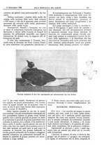 giornale/CFI0361052/1926/unico/00000469