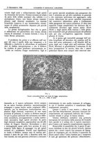 giornale/CFI0361052/1926/unico/00000483