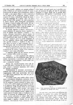 giornale/CFI0361052/1926/unico/00000535