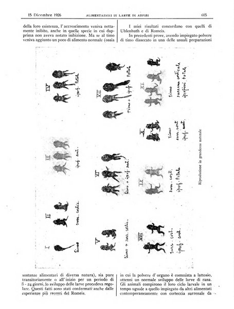 Pathologica rivista quindicinale