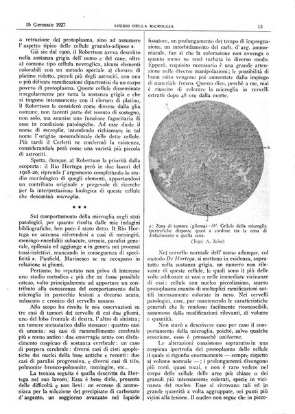 Pathologica rivista quindicinale