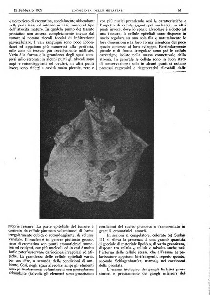 Pathologica rivista quindicinale