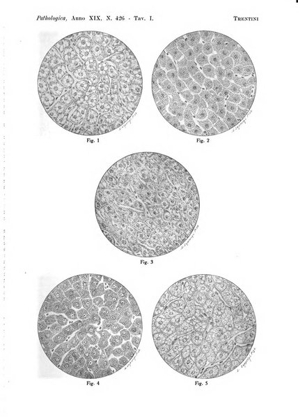 Pathologica rivista quindicinale