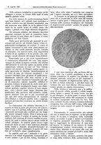 giornale/CFI0361052/1927/unico/00000247