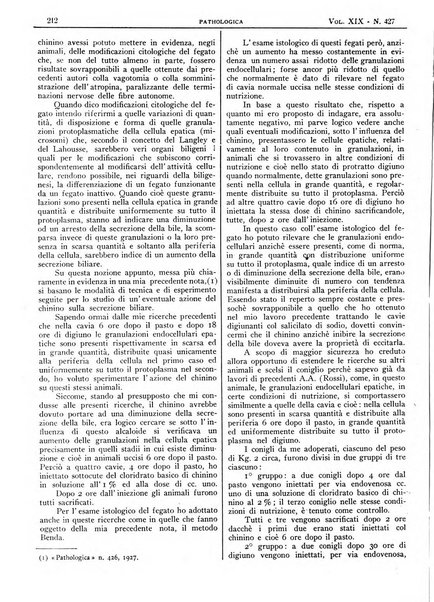 Pathologica rivista quindicinale