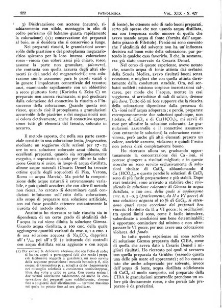 Pathologica rivista quindicinale