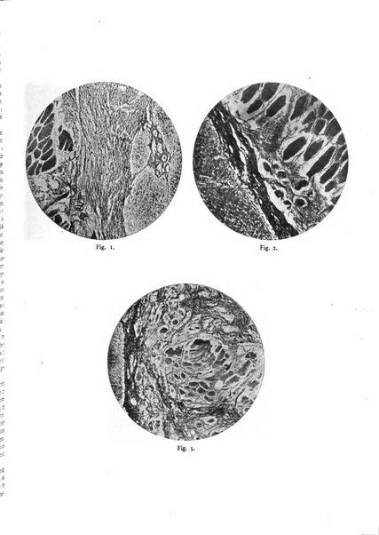 Pathologica rivista quindicinale