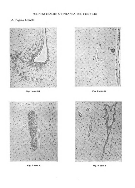 Pathologica rivista quindicinale