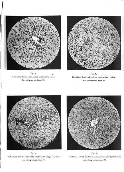 Pathologica rivista quindicinale