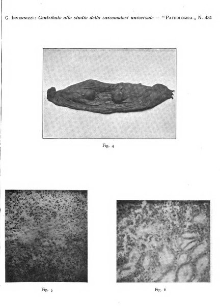 Pathologica rivista quindicinale