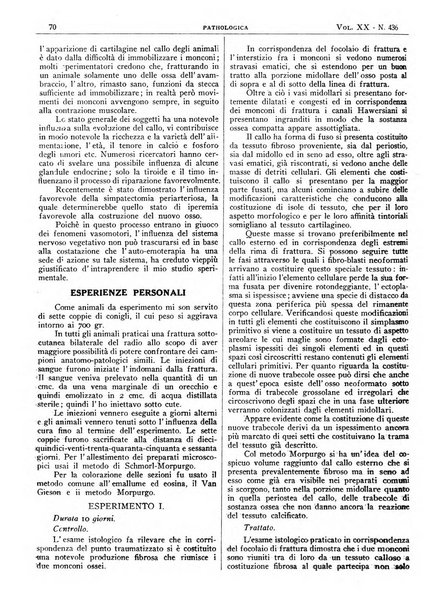 Pathologica rivista quindicinale