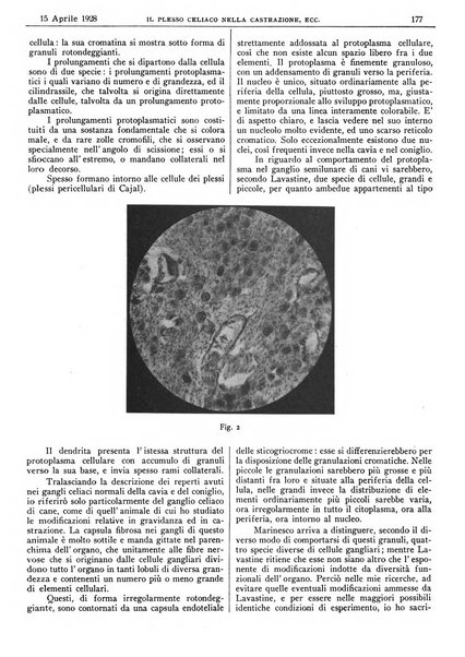 Pathologica rivista quindicinale