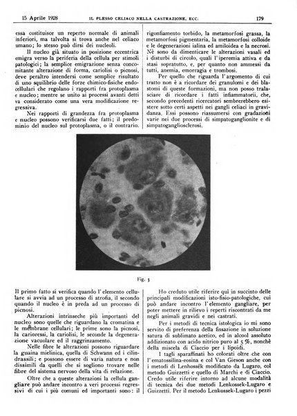 Pathologica rivista quindicinale