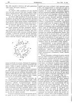 giornale/CFI0361052/1928/unico/00000260