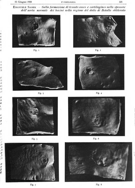 Pathologica rivista quindicinale