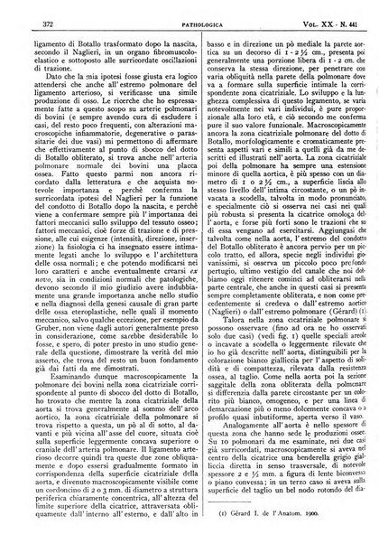 Pathologica rivista quindicinale